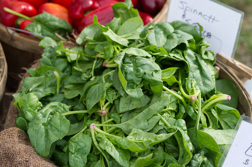 Fresh Produce